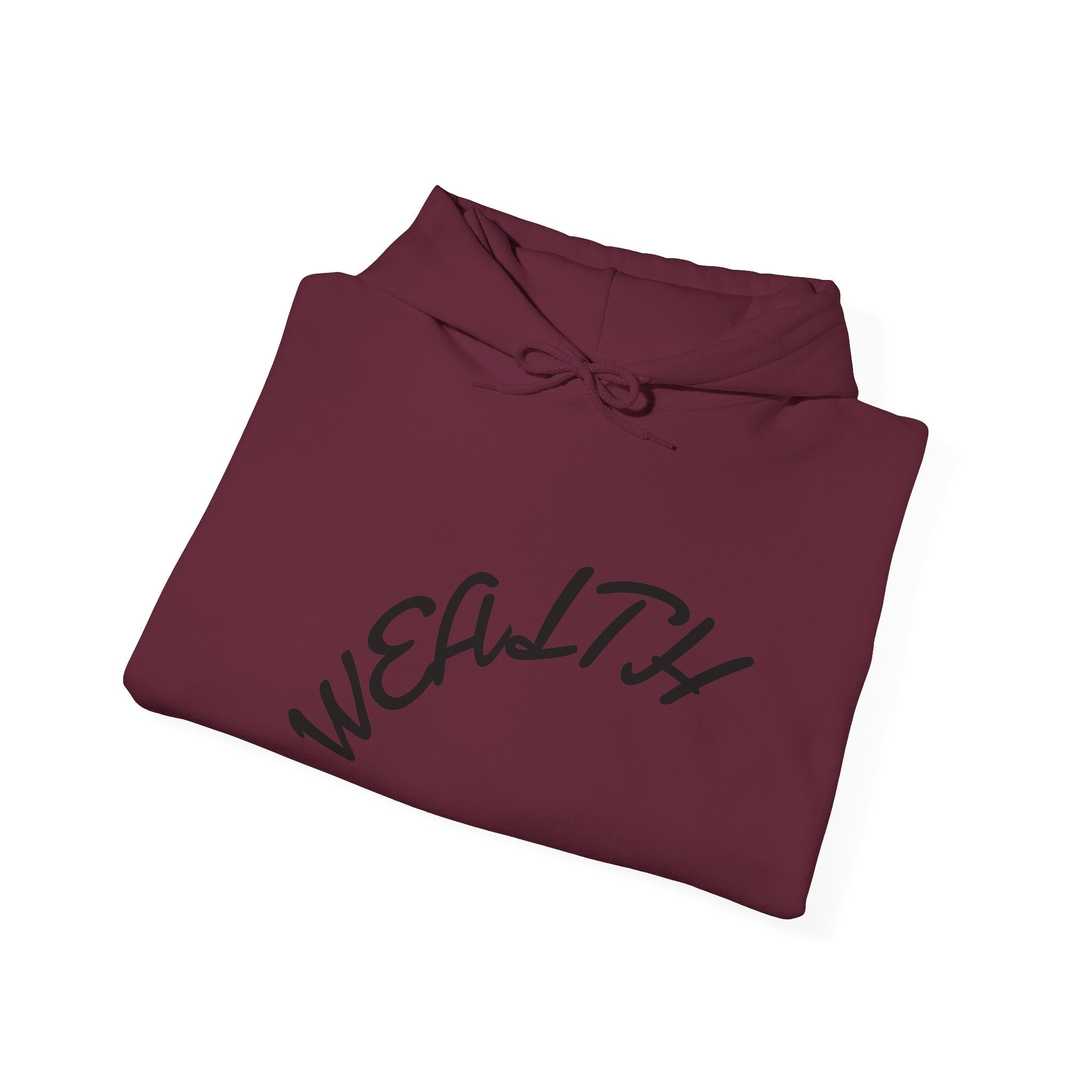 Wealth Hoodie — "Wealth Is The Persistence" Motivational Pullover
