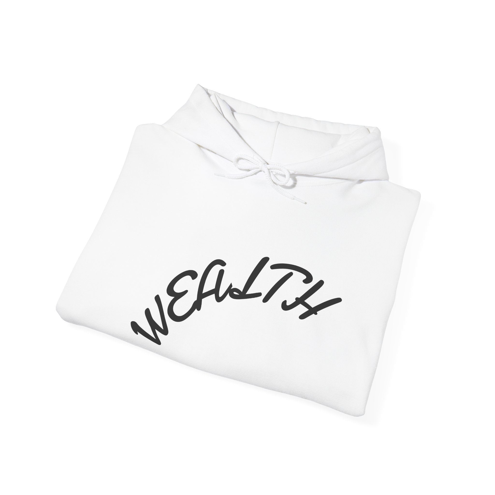 Wealth Hoodie — "Wealth Is The Persistence" Motivational Pullover